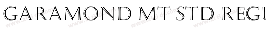 Garamond MT Std Regu字体转换